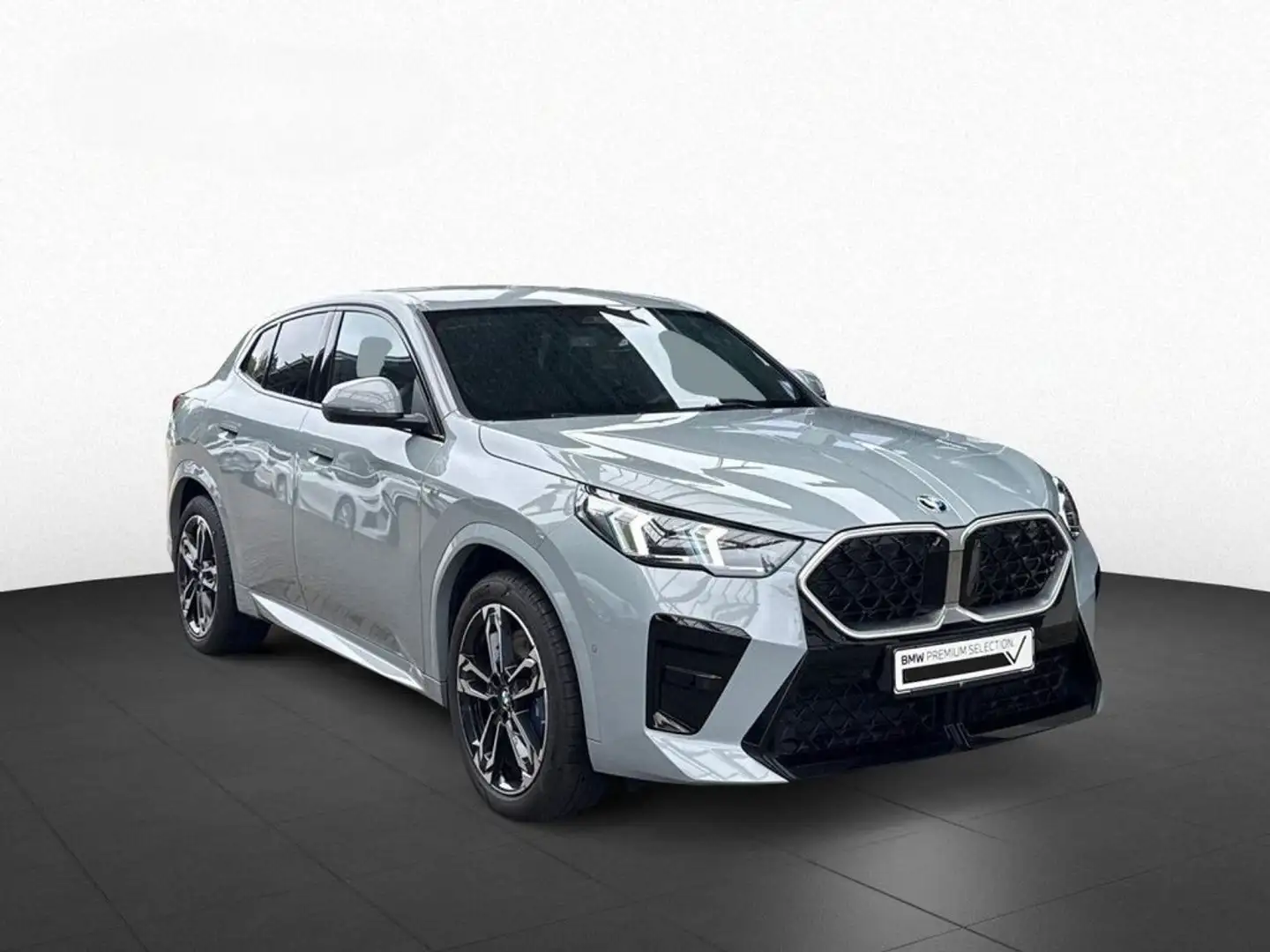 BMW X2 xDrive 20d 163ch DKG7 M Sport Grijs - 1