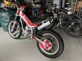 Beta Evo 80 Junior Kleinrad MJ 2021 - thumbnail 3