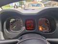 Fiat Panda 1.2 Lounge easypower G.P.L 69cv uniprò NEOPATEN Grigio - thumbnail 11