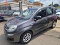 Fiat Panda 1.2 Lounge easypower G.P.L 69cv uniprò NEOPATEN Grigio - thumbnail 2