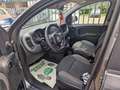 Fiat Panda 1.2 Lounge easypower G.P.L 69cv uniprò NEOPATEN Grigio - thumbnail 12