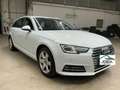 Audi A4 Avant 2.0 TDI 150CV Sport Weiß - thumbnail 3