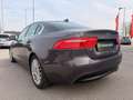 Jaguar XE PRESTIGE E-Performance Aut. Grau - thumbnail 7