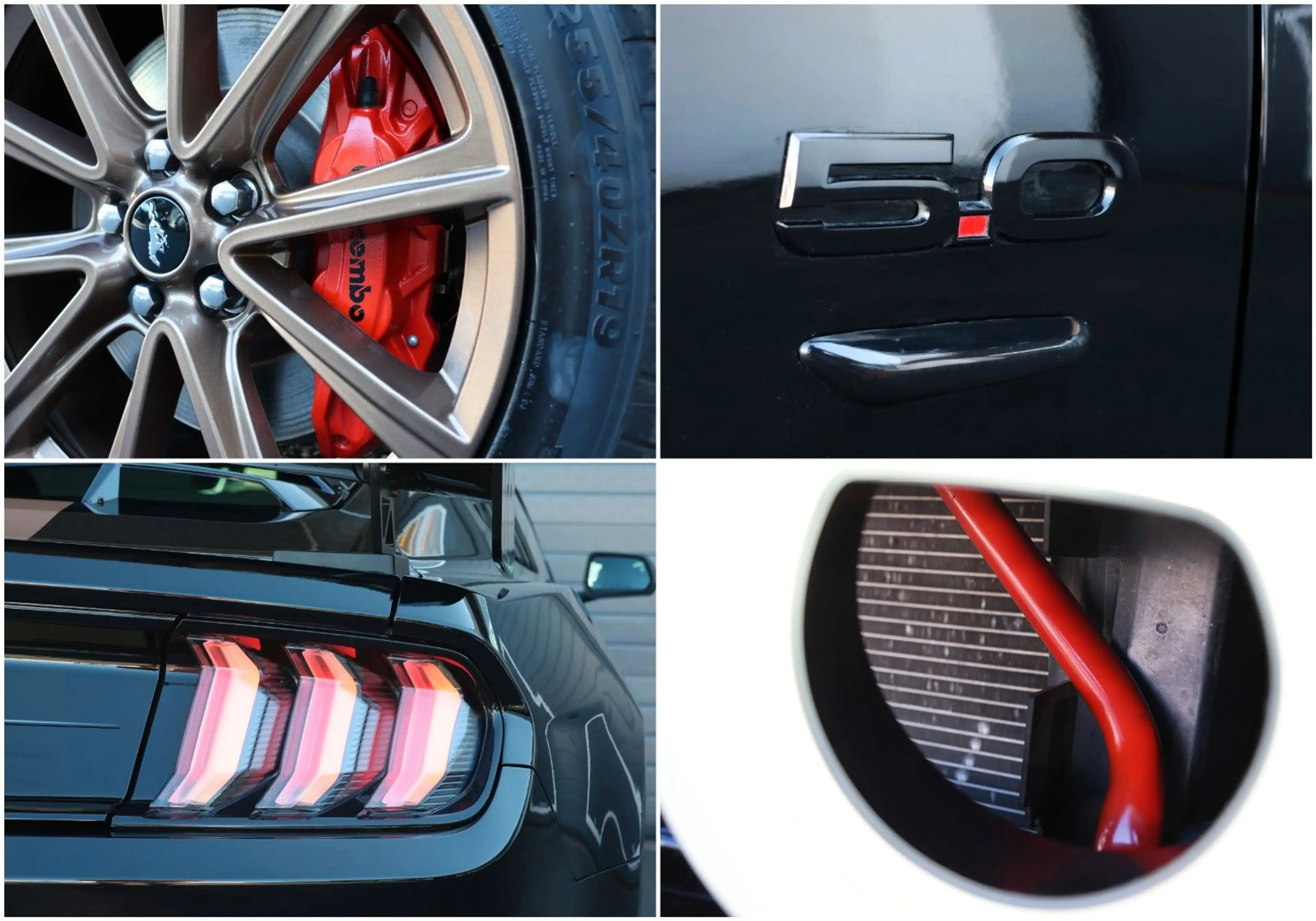 Ford Mustang 5.0 GT/BREMBO/SHZ/SBL/TTW/KAMERA/SPUR/19 — photo 13