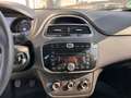 Fiat Punto 1.2 8V 5 porte Pop Neopatentati Ok Nero - thumbnail 7