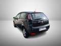 Fiat Punto 1.2 8V 5 porte Pop Neopatentati Ok Nero - thumbnail 3