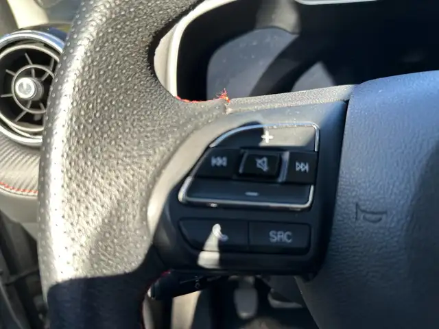 MG ZS view 8