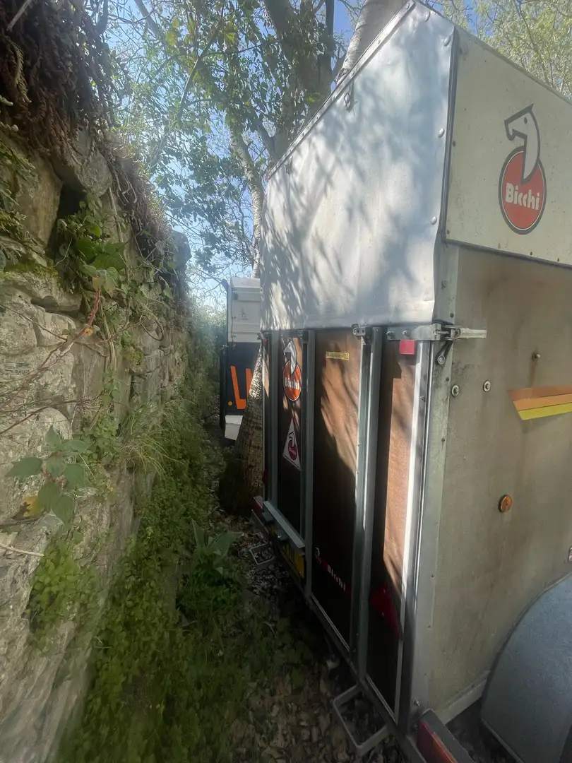 A.T.U TRAILER TRASPORTO CAVALLI DA 1+puledro - 2