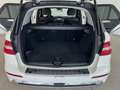 Mercedes-Benz ML 350 CDI 4Matic AMG-LINE|PANO|XENON|KAMERA|H&K Bianco - thumbnail 9