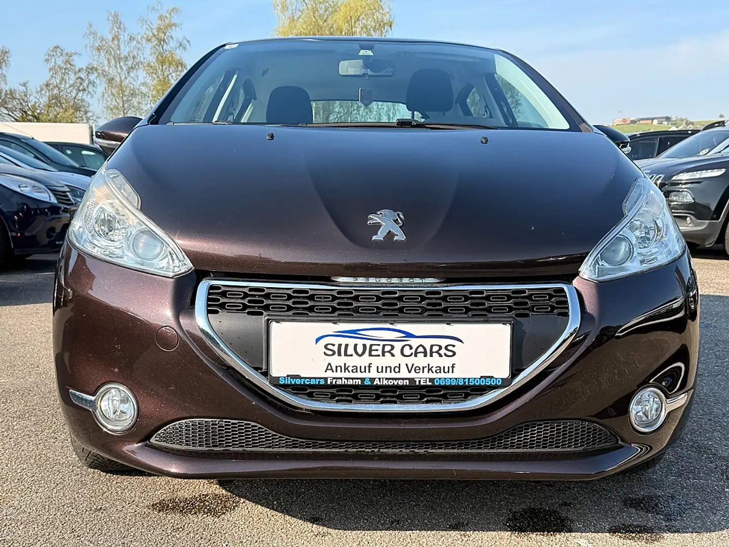 Peugeot 208 Active 1,4 HDI 68 FAP Braun - 2