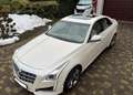 Cadillac CTS CTS 2.0 Turbo AT Elegance Blanc - thumbnail 1