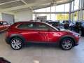 Mazda CX-30 2.0 Selection i-Active  BOSE NAVI KAM LED AHK Rot - thumbnail 8