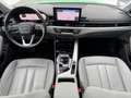 Audi A4 allroad 50 3.0 TDI AHK Pano RFK Matrix-LED Navi - thumbnail 10
