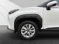 Toyota Yaris Cross 1.5 Hybrid Comfort*ACC*DAB*Kamera* Weiß - thumbnail 11