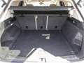 Volkswagen Touareg 3.0 TDI 4Motion DSG Elegance NAVI LUFT Weiß - thumbnail 17