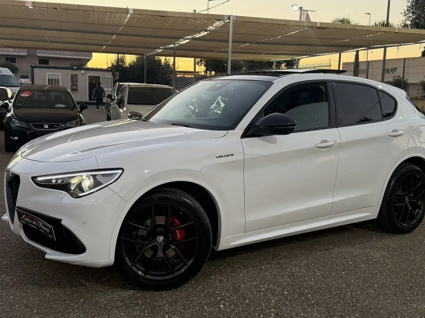 Alfa Romeo Stelvio Stelvio 2.2 t Veloce Q4 210cv auto Weiß - 2