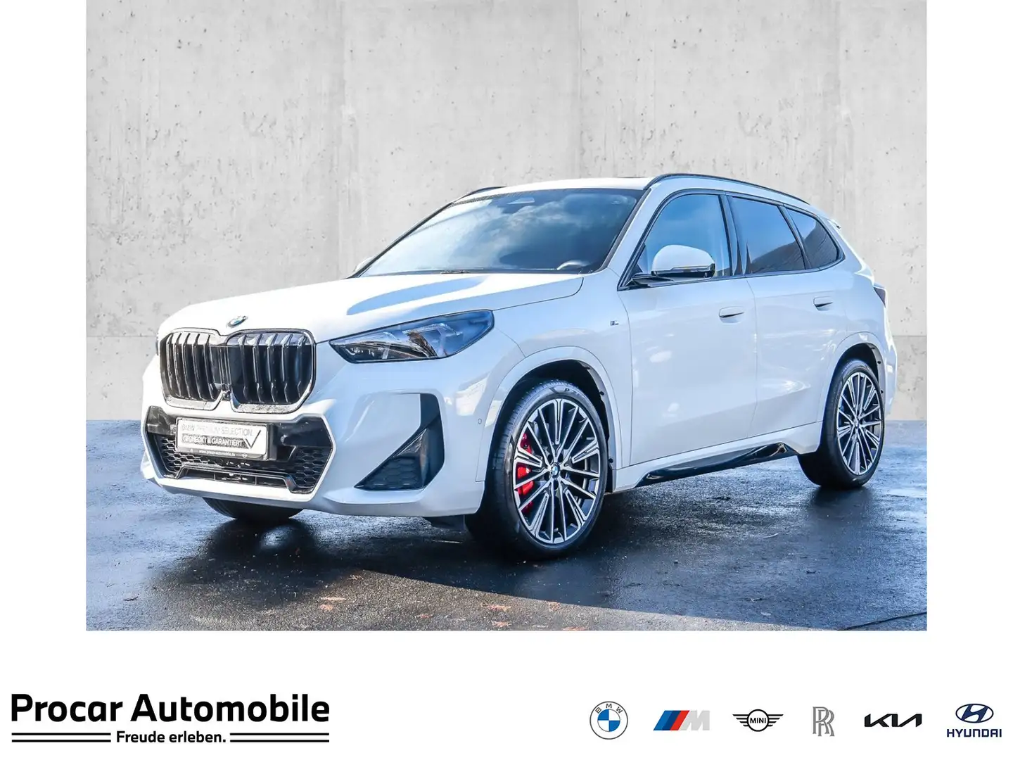 BMW X1 sDrive20i M Sport HUD PANO RFK LED Weiß - 1