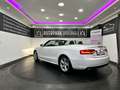 Audi A5 Cabrio 1,8 TFSI Style *WENIG-KM*SZH*XENON* Wit - thumbnail 4