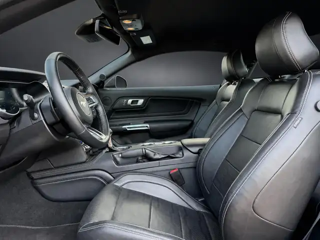 Ford Mustang view 11