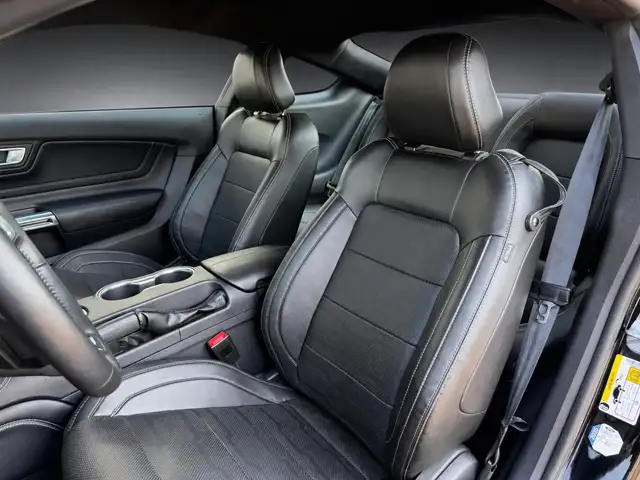 Ford Mustang view 14