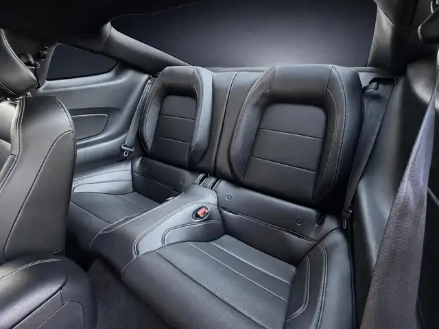 Ford Mustang view 12