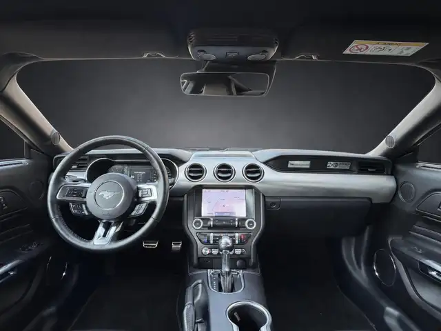 Ford Mustang view 10
