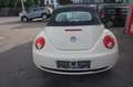 Volkswagen New Beetle Cabriolet 1.4*Freesteyle Beige - thumbnail 5