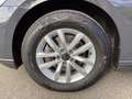 Volkswagen Passat Variant 2.0 TDI DSG Business/Standhzg/AHK Grau - thumbnail 16