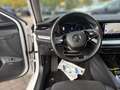 Skoda Octavia Combi 2.0 TDI DSG STYLE *CANTON *MATRIX *ACC *RKA Weiß - thumbnail 11