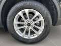 Ford Kuga Titanium FHEV Hybrid Schwarz - thumbnail 14