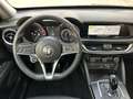 Alfa Romeo Stelvio Stelvio 2.2 t Executive Q4 180cv auto km certific. - thumbnail 9