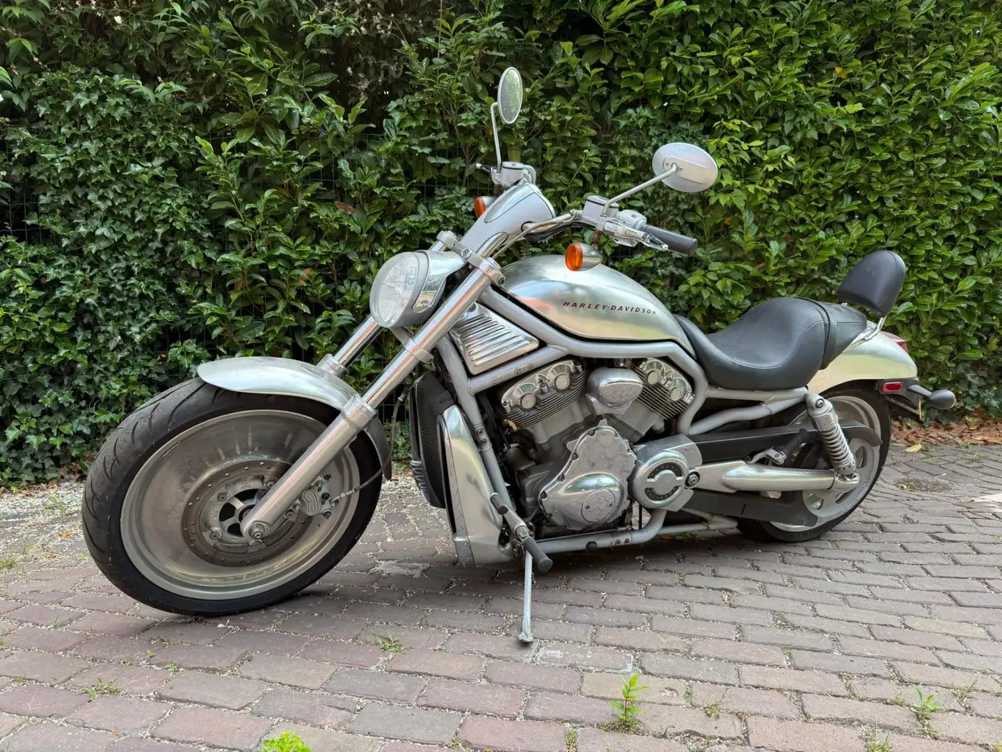 Harley-Davidson V-Rod Chopper Gris - 1
