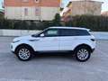 Land Rover Range Rover Evoque Range Rover Evoque 5p 2.2 td4 Launch edition 150cv Bianco - thumbnail 3