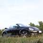 Volkswagen Beetle The Cabriolet 1.4 TSI DSG Blue Motion Techn Club - thumbnail 3