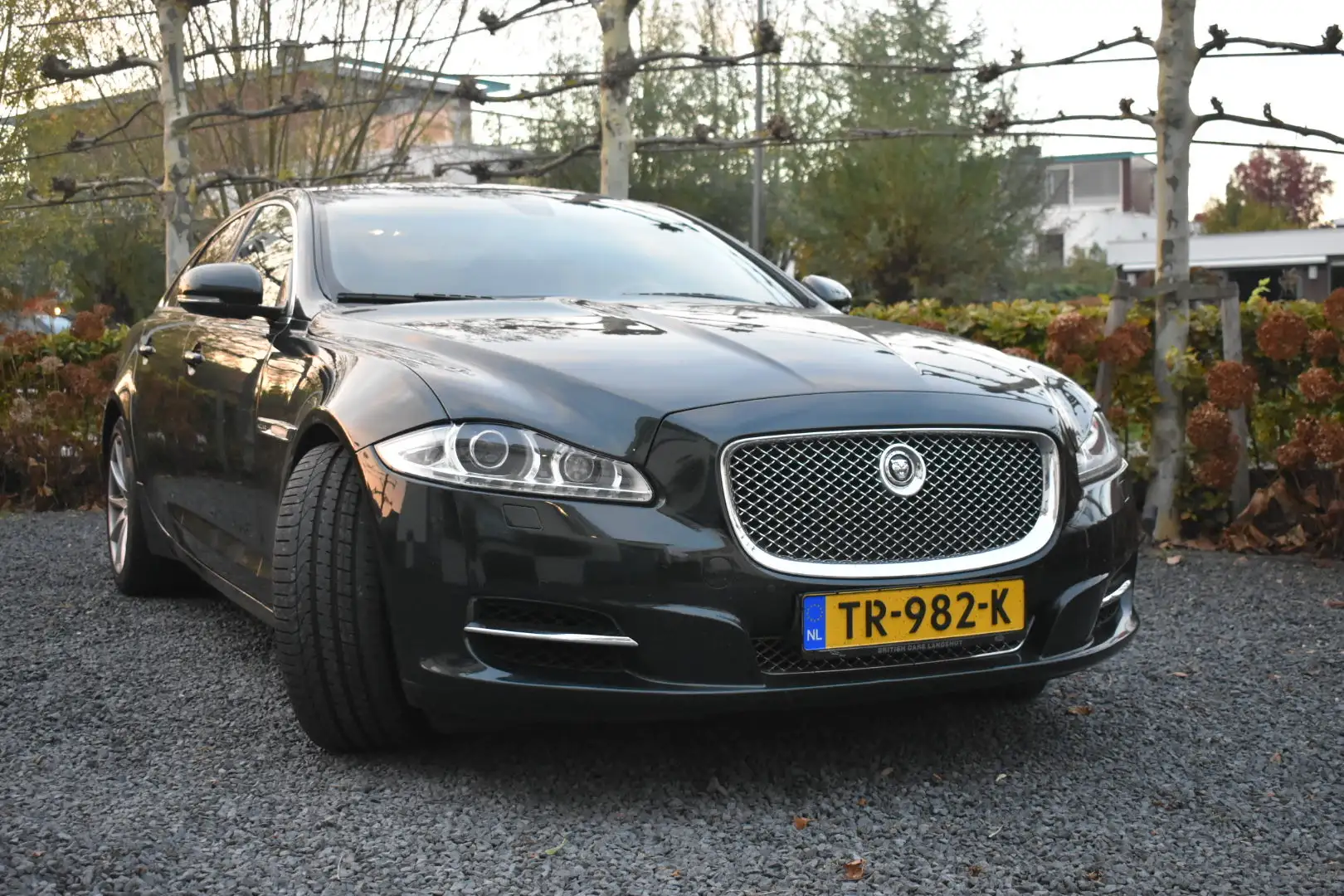 Jaguar XJ 3.0 V6D Portfolio Groen - 1
