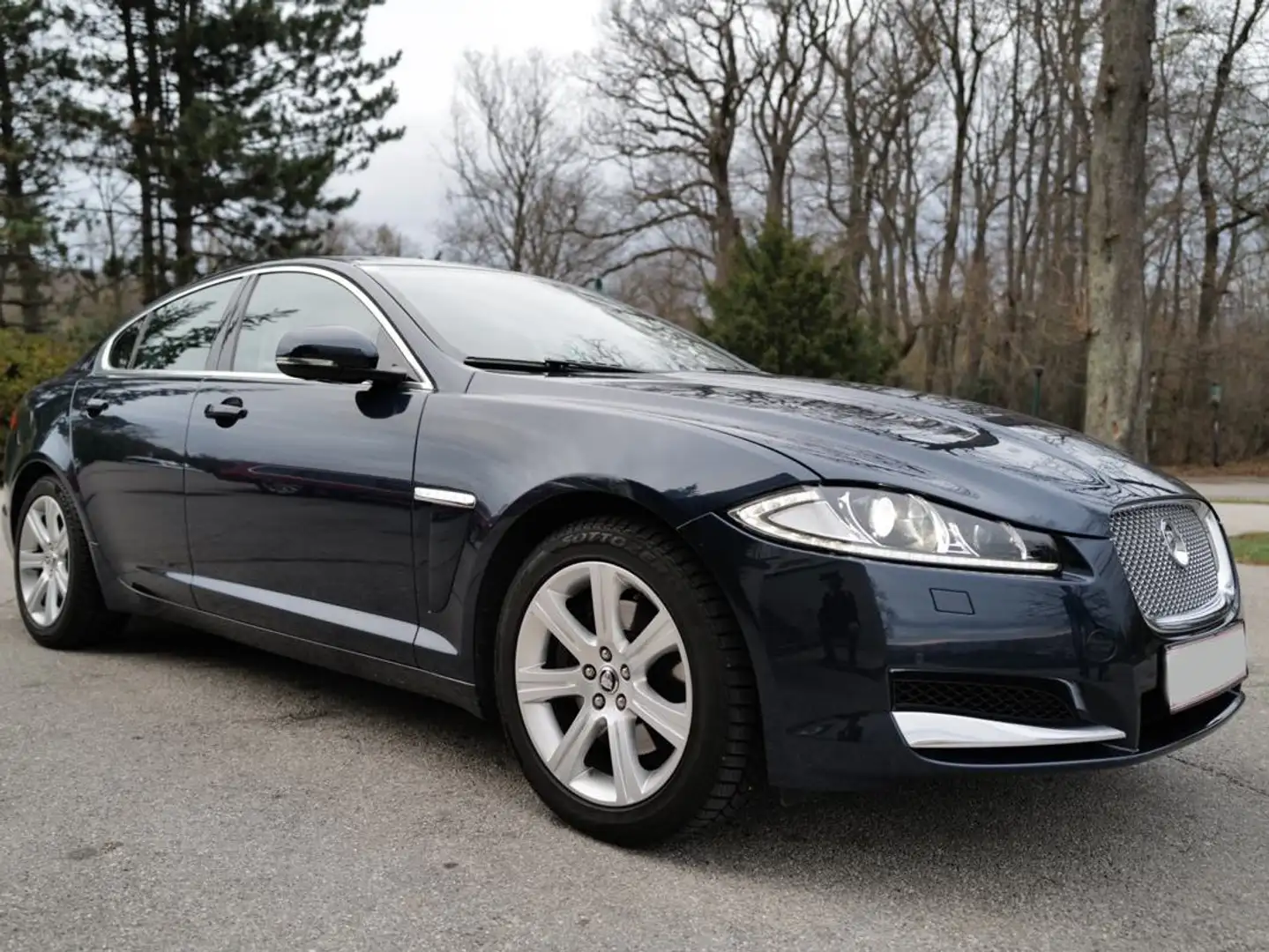 Jaguar XF XF 3,0 Diesel Premium Luxury Premium Luxury Синій - 1