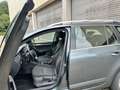 Skoda Octavia 1.5TSI Combi Style*DSG*PDC*AHK*App-Navi Gris - thumbnail 9