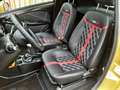 Casalini Grandsport 550 Oro - thumbnail 15