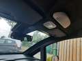 Casalini Grandsport 550 Or - thumbnail 28