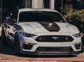 Ford Mustang Mustang Fastback 5.2 V8 Mach 1 460cv auto Gris - thumbnail 1