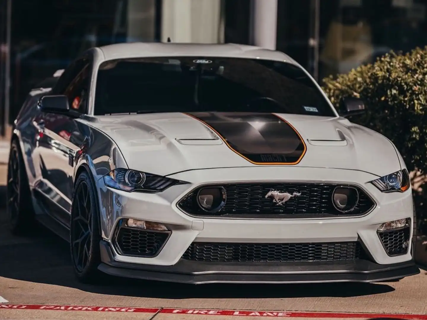 Ford Mustang Mustang Fastback 5.2 V8 Mach 1 460cv auto Gris - 1