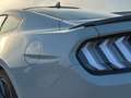 Ford Mustang Mustang Fastback 5.2 V8 Mach 1 460cv auto Gris - thumbnail 8