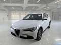 Alfa Romeo Stelvio 2.2 Turbo Diesel 160CV Business AT8 RWD - thumbnail 1