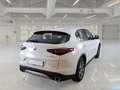 Alfa Romeo Stelvio 2.2 Turbo Diesel 160CV Business AT8 RWD - thumbnail 4