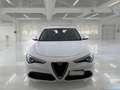 Alfa Romeo Stelvio 2.2 Turbo Diesel 160CV Business AT8 RWD - thumbnail 2