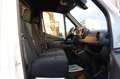 Mercedes-Benz Sprinter III Kasten RWD/AWD 311/315/317/319 CDI Weiß - thumbnail 37