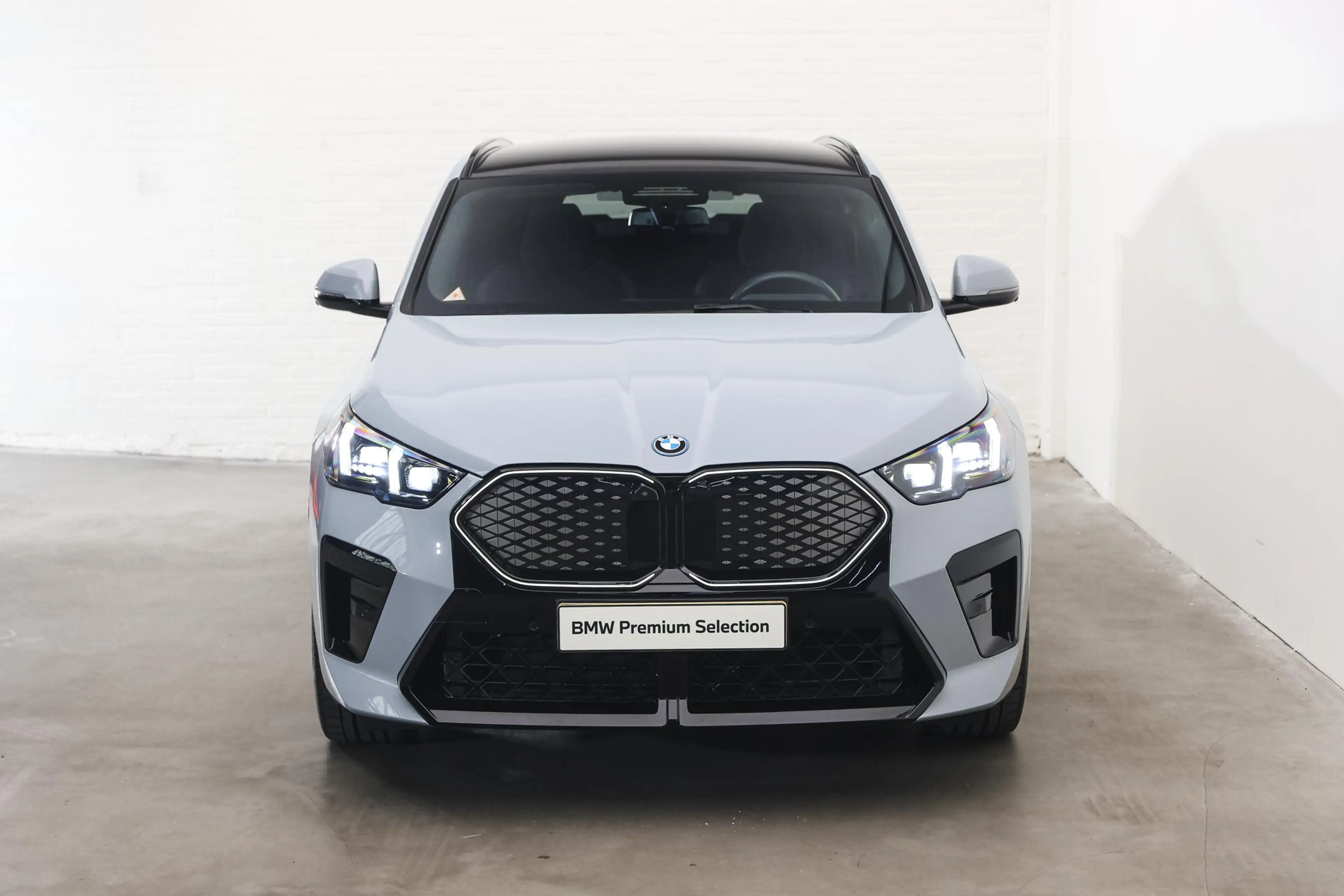 BMW iX2 xDrive30 M Sport / Panoramadak / Sportstoelen / He — photo 5