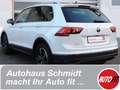 Volkswagen Tiguan Active Frontscheibenheizung AUTOGAS Білий - thumbnail 1