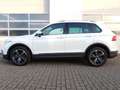 Volkswagen Tiguan Active Frontscheibenheizung AUTOGAS Blanco - thumbnail 17