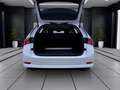 Skoda Octavia Combi 2.0 TDI STYLE AHK NAVI PDC SITZHZG Weiß - thumbnail 4